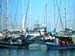 sanary_2004_41